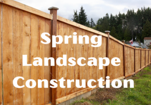 Your paragraph text (2)